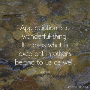 AppreciationVoltaire