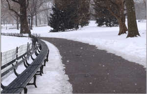 OKLLarryFrankelSnowfall189