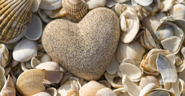 HeartStoneShells545605_504341702937760_1822241751_n