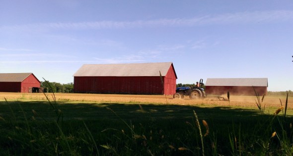 Tryon Ferry Barns Tractor Crop